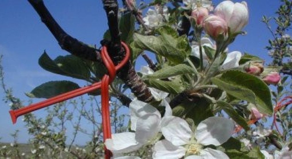 Οδηγίες αξιολόγησης των προσφυγών απορριπτόμενων της 1ης πρόσκλησης για το «Κομφούζιο» της νέας ΚΑΠ Οδηγίες αξιολόγησης των προσφυγών απορριπτόμενων της 1ης πρόσκλησης για το «Κομφούζιο» της νέας ΚΑΠ