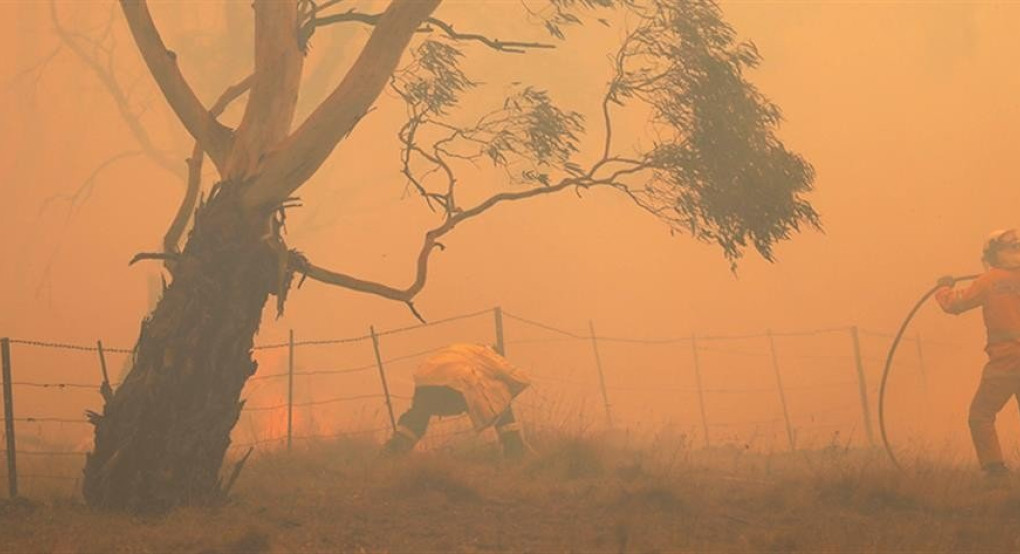 Αυστραλία: Νεκροί, απανθρακωμένα ζώα και καύσωνας