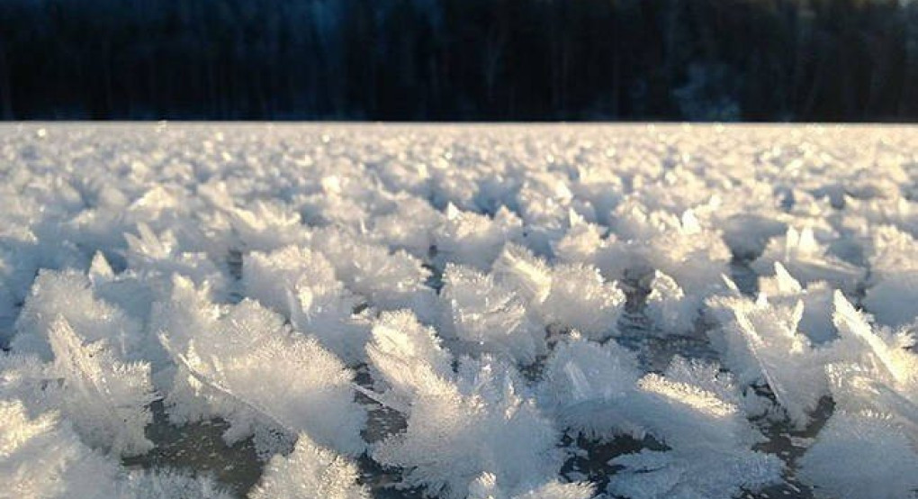 Καιρός: Δείτε το φαινόμενο των παγωμένων λουλουδιών…