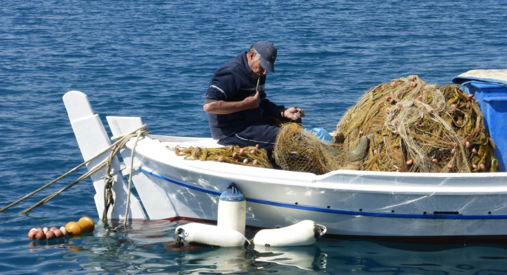 Μην τρώτε ξιφία και γαλέο ή μπακαλιαράκια, προτρέπει για την Καθαρά Δευτέρα η iSea