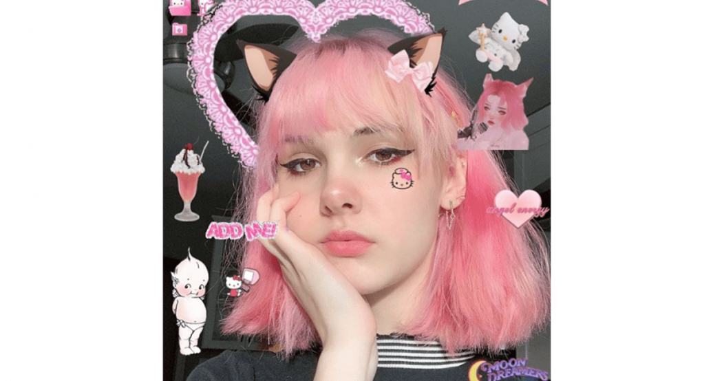 Νοσηρό έγκλημα: Σκότωσε έφηβη influencer και πόσταρε τα μέλη της στα social media  