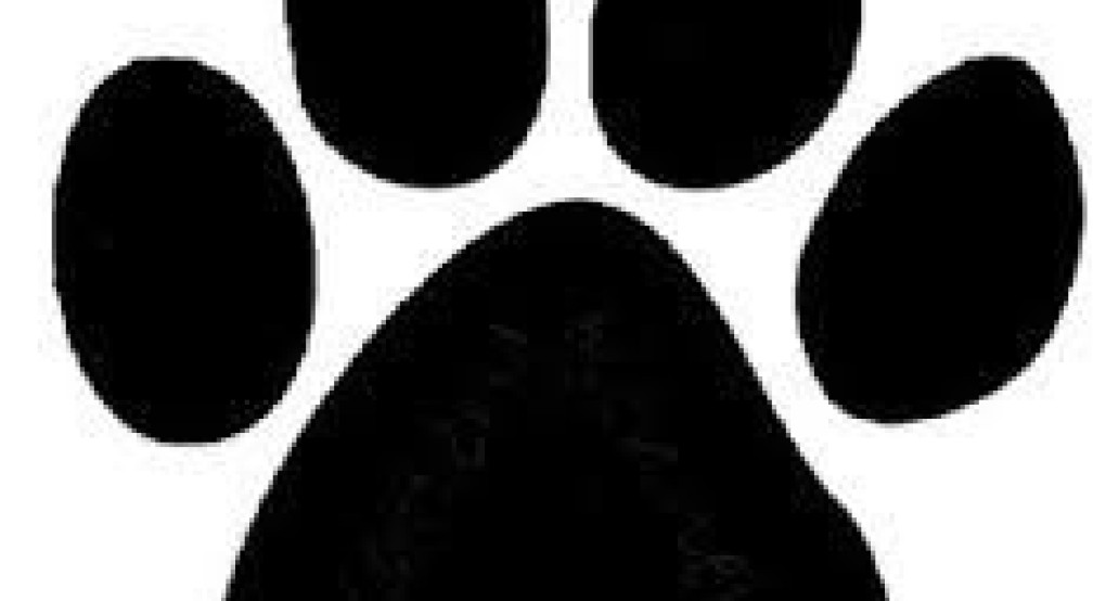 Γιαννιτσά: Μεγάλο ταλέντο ο...τετράποδος Τάκης στον Πεζόδρομο!