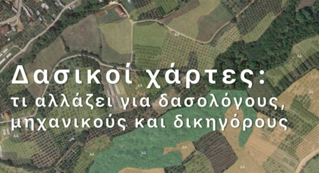 Δασικοί χάρτες: τι αλλάζει για δασολόγους, μηχανικούς και δικηγόρους