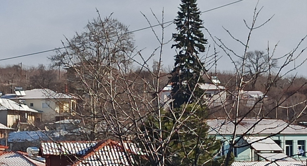 Δήμος Αλμωπίας: Κανονικά την Παρασκευή η λειτουργία των σχολείων 