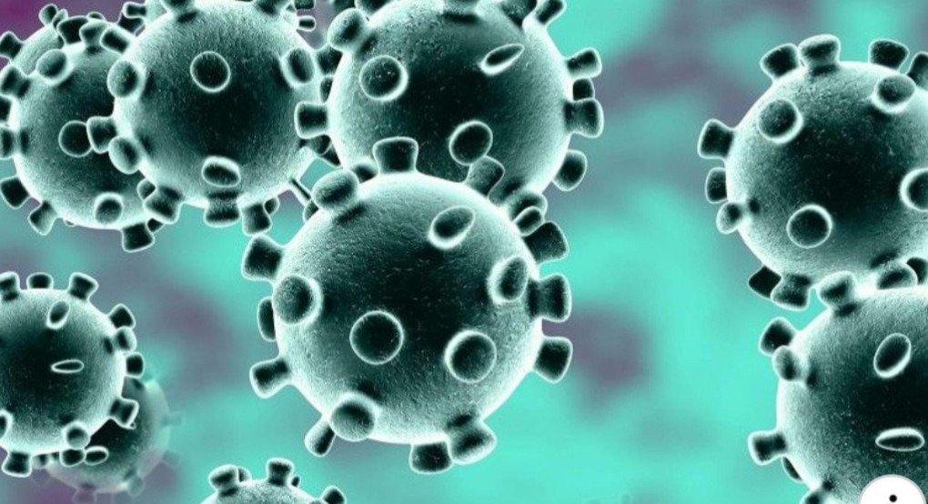 Όλα όσα πρέπει να ξέρετε για τον Κοροναϊό. Ερωτήσεις και απαντήσεις 