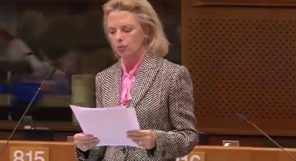 Βόζεμπεργκ για το μεταναστευτικό: «Μόνο πέντε χώρες έχει η ευρωπαϊκή οικογένεια»; 