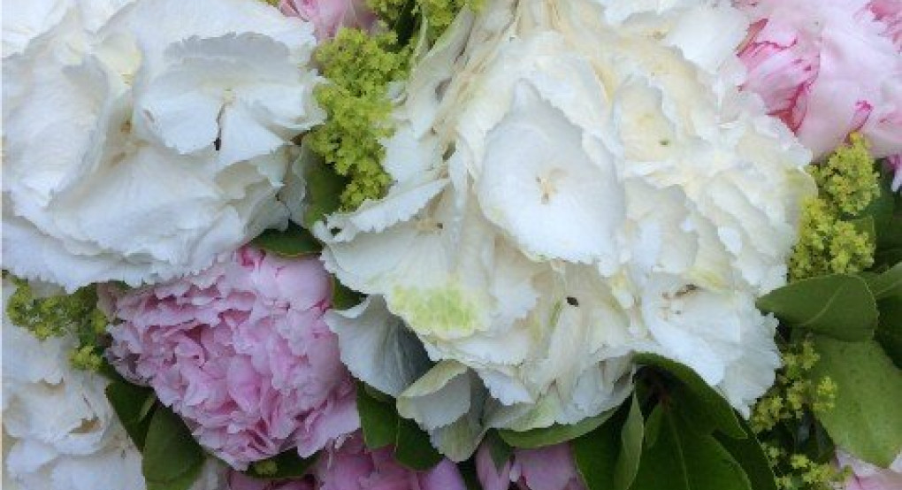 Ποιος γιορτάζει σήμερα...