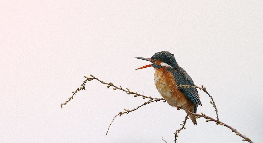 Ο καιρός μας...