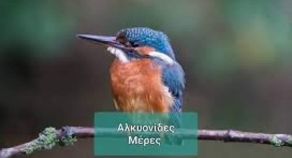 Ο καιρός μας...