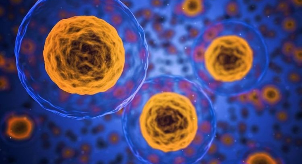  Φορητή ηλεκτρονική «μύτη» για πρώτη φορά ανιχνεύει μέσω αναπνοής τον πρόδρομο του καρκίνου του οισοφάγου