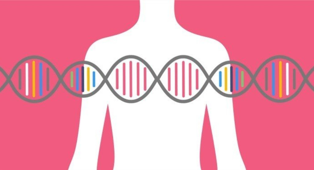 Νέα ανοσοθεραπεία (με τη συμμετοχή Ελλήνων επιστημόνων) μειώνει τον κίνδυνο υποτροπής του επιθετικού καρκίνου του μαστού