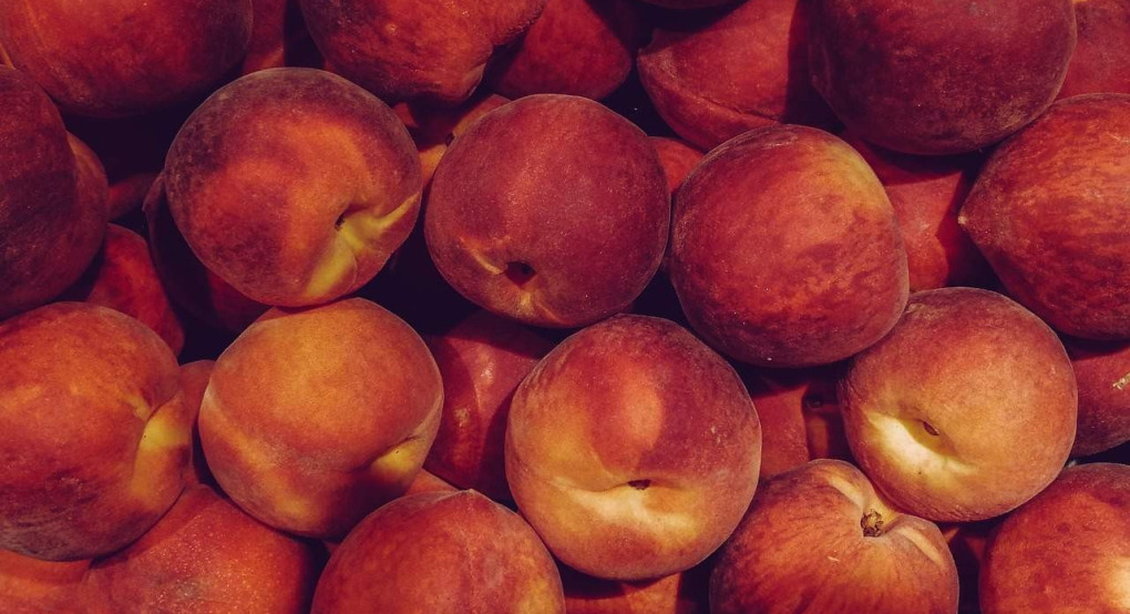 Οι προτάσεις των ροδακινοπαραγωγών νομού Ημαθίας προς τον υπουργό Αγροτικής Ανάπτυξης και Τροφίμων, Μάκη Βορίδη