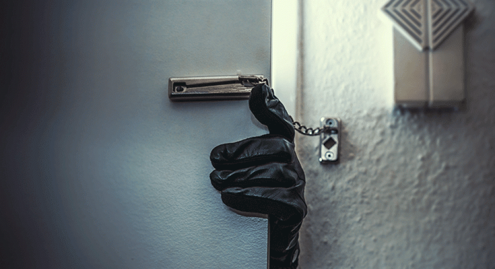 Νάρκωσαν τα σκυλιά και άδειασαν σπίτι στην Αρχαία Ολυμπία