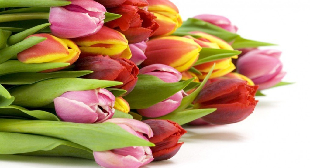 Πείτε τους χρόνια πολλά...