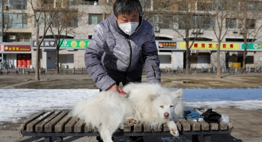 Κορωνοϊός - Χονγκ Κονγκ: Ο σκύλος ασθενούς βρέθηκε θετικός στον ιό και τέθηκε σε καραντίνα 