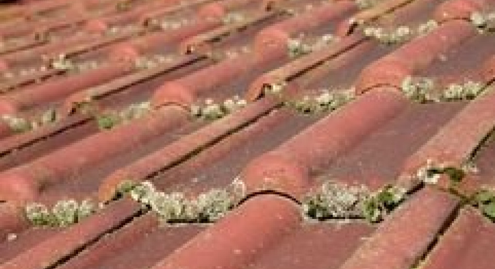 Σοβαρή ζημιά στο Δημοτικό σχολείο Λουτρακίου Αριδαίας-θα παραμείνει κλειστό 