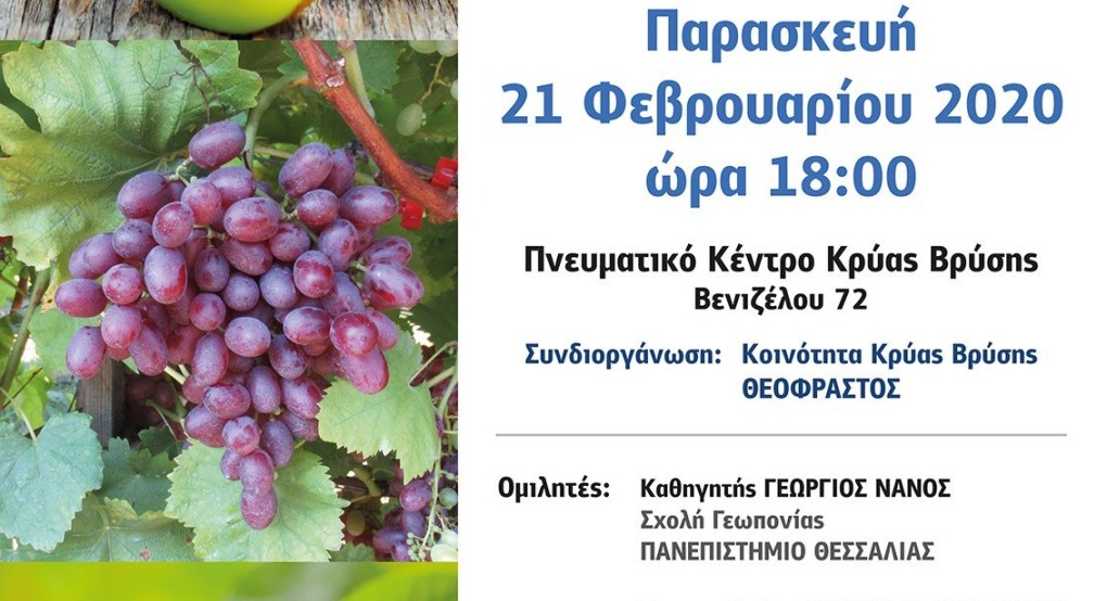 Πραγματοποίηση εσπερίδας στην Κρύα Βρύση Πέλλας