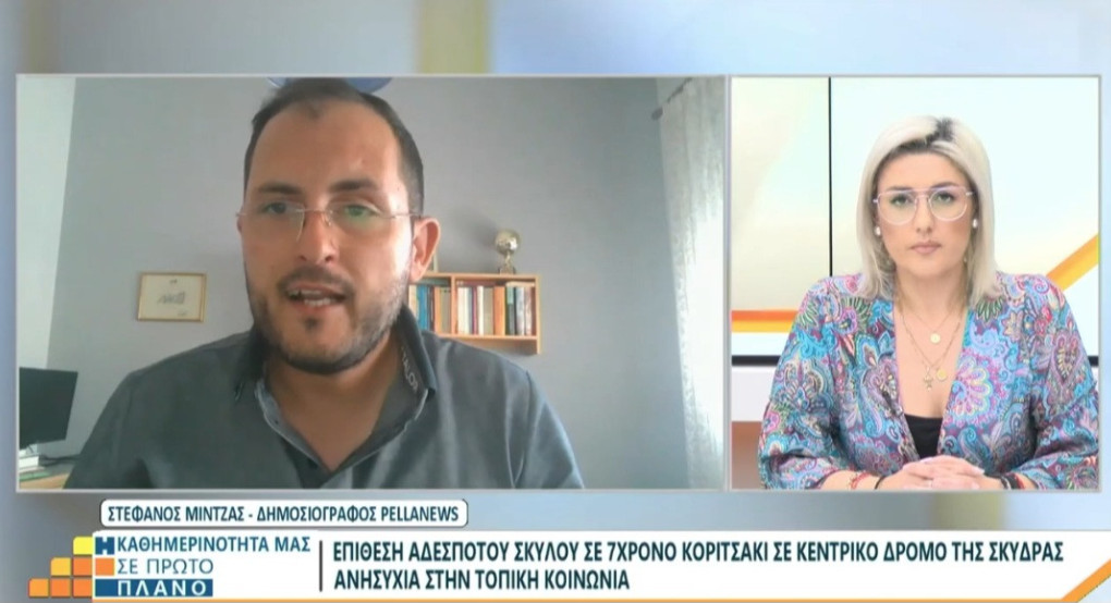 Βεργίνα Τηλεόραση: Επίθεση αδέσποτων σκύλων σε κοριτσάκι στη Σκύδρα και αποκαλύψεις για την κατάσταση στην πόλη Βεργίνα Τηλεόραση: Επίθεση αδέσποτων σκύλων σε κοριτσάκι στη Σκύδρα και αποκαλύψεις για την κατάσταση στην πόλη