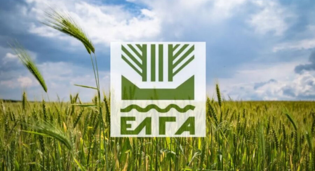 Πληρωμή 8,7 εκατ. ευρώ για εκτιμήσεις κι επανεκτιμήσεις ζημιών σε φυτική παραγωγή και ζωικό κεφάλαιο του 2024 Πληρωμή 8,7 εκατ. ευρώ για εκτιμήσεις κι επανεκτιμήσεις ζημιών σε φυτική παραγωγή και ζωικό κεφάλαιο του 2024