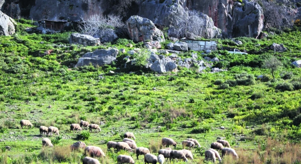 ΟΠΕΚΕΠΕ: Συνεχίζει τις έρευνες η Ευρωπαϊκή Εισαγγελία ΟΠΕΚΕΠΕ: Συνεχίζει τις έρευνες η Ευρωπαϊκή Εισαγγελία