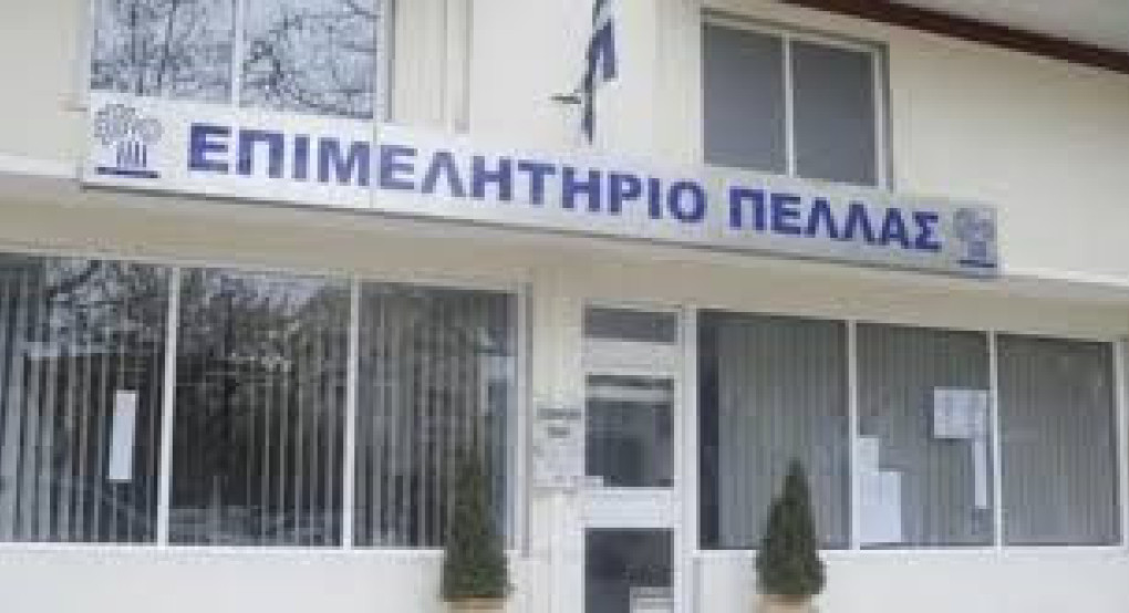 Ανοικτή Ενημερωτική Εκδήλωση στην Έδεσσα για τις Δράσεις Στήριξης Επιχειρηματικότητας του Προγράμματος «Κεντρική Μακεδονία»/ΕΣΠΑ 2021-2027
