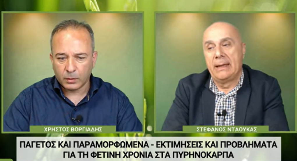 Ο Στέφανος Νταούκας για τιμή στο ροδάκινο, παραμορφωμένα και παγετούς Ο Στέφανος Νταούκας για τιμή στο ροδάκινο, παραμορφωμένα και παγετούς