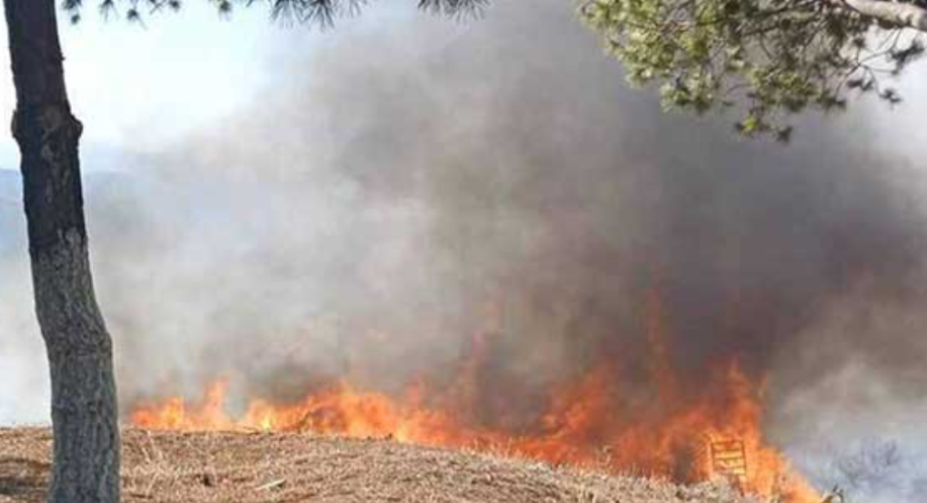 Συνελήφθη 73χρονος για εμπρησμό στη Βοιωτία – Έβαλε φωτιά σε δύο διαφορετικά σημεία Συνελήφθη 73χρονος για εμπρησμό στη Βοιωτία – Έβαλε φωτιά σε δύο διαφορετικά σημεία
