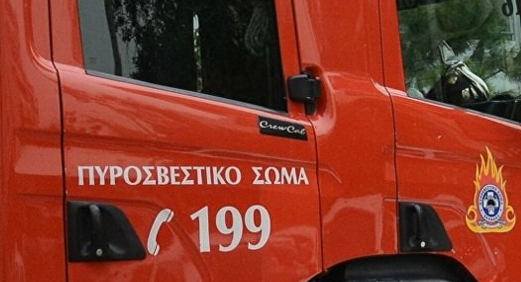 Φωτιά σε δασική έκταση στα Βίλια Αττικής: Eπιχειρούν και εναέρια μέσα Φωτιά σε δασική έκταση στα Βίλια Αττικής: Eπιχειρούν και εναέρια μέσα