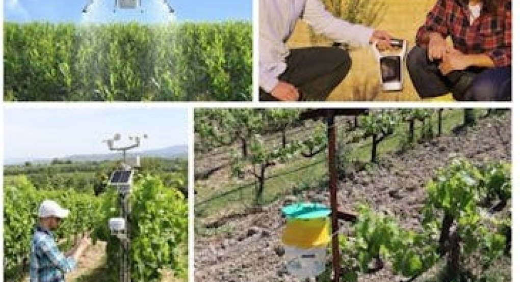 Ημερίδα στην Αριδαία «Ψηφιακός Μετασχηματισμός στη Γεωργία και τη Βιωσιμότητα» Ημερίδα στην Αριδαία «Ψηφιακός Μετασχηματισμός στη Γεωργία και τη Βιωσιμότητα»