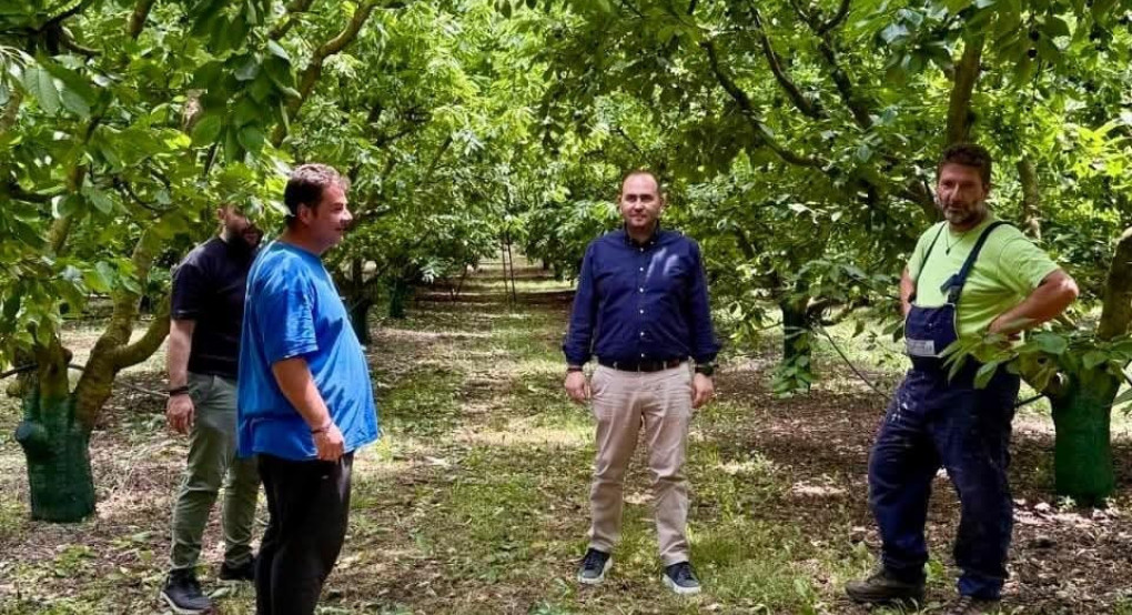 Σοβαρές ζημιές στα κεράσια της Πέλλας – Επίσκεψη Λάκη Βασιλειάδη σε Άγρα, Κερασιά και Βρυτά Σοβαρές ζημιές στα κεράσια της Πέλλας – Επίσκεψη Λάκη Βασιλειάδη σε Άγρα, Κερασιά και Βρυτά