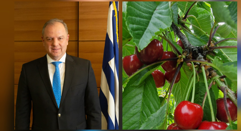 Ανησυχία στον Αγροτικό Κόσμο της Πέλλας μετά την Παραίτηση Σταμενίτη – Εκκρεμούν Κρίσιμα Θέματα για τις Αποζημιώσεις Ανησυχία στον Αγροτικό Κόσμο της Πέλλας μετά την Παραίτηση Σταμενίτη – Εκκρεμούν Κρίσιμα Θέματα για τις Αποζημιώσεις