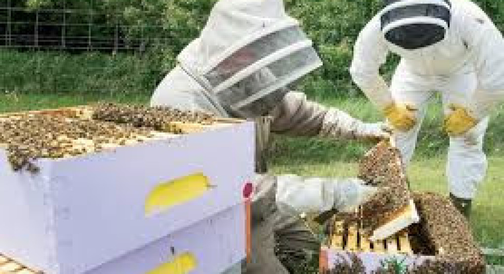 ΠΕ Πέλλας - Μετρό 23 για την Ενίσχυση των αγροτών και των μελισσοκόμων ΠΕ Πέλλας - Μετρό 23 για την Ενίσχυση των αγροτών και των μελισσοκόμων