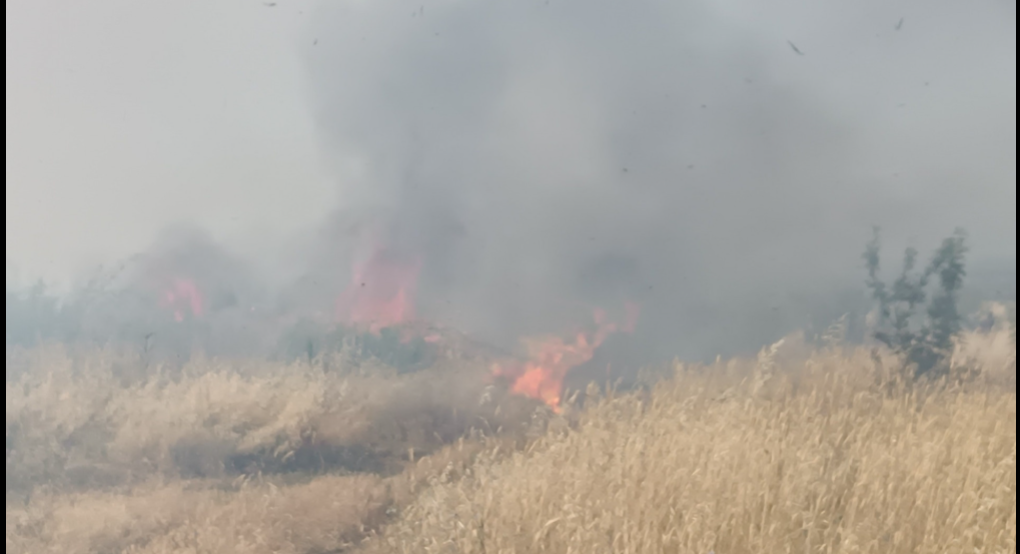 Φωτιά σε αγροτική περιοχή στην Πέλλα - Φωτογραφίες Φωτιά σε αγροτική περιοχή στην Πέλλα - Φωτογραφίες