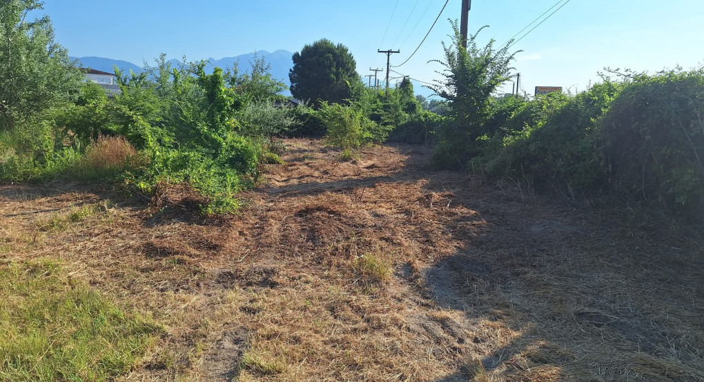 Καθαρισμοί οικοπέδων για πρόληψη πυρκαγιών – Διάψευση φημών για χρήση έκτασης στην Αριδαία