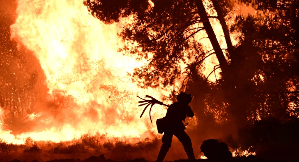 Φωτιά στον Ωρωπό: Μεγάλη περιβαλλοντική καταστροφή - «Κάηκε μεγάλο μέρος του δάσους», λέει ο δήμαρχος Φωτιά στον Ωρωπό: Μεγάλη περιβαλλοντική καταστροφή - «Κάηκε μεγάλο μέρος του δάσους», λέει ο δήμαρχος