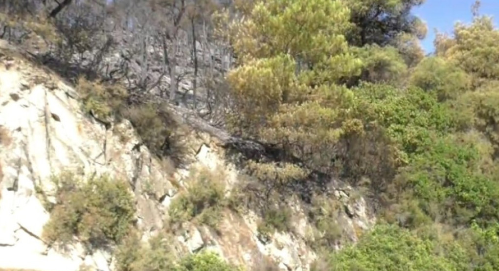 Χαλκιδική: Καταλυτική η βοήθεια των drones στην αντιμετώπιση της πυρκαγιάς στη Βουρβουρού Χαλκιδική: Καταλυτική η βοήθεια των drones στην αντιμετώπιση της πυρκαγιάς στη Βουρβουρού