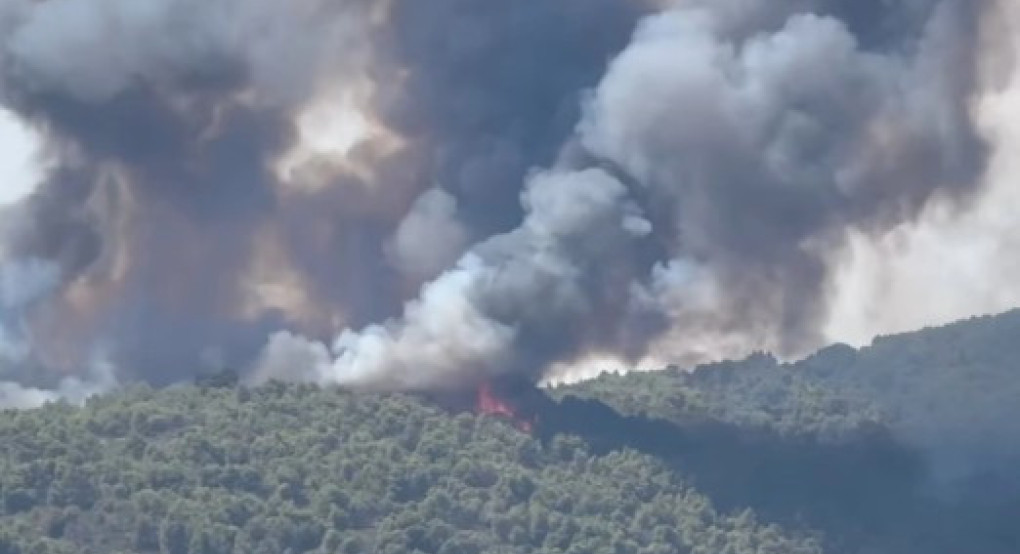 Φωτιά στο πευκοδάσος στη Βουρβουρού Χαλκιδικής