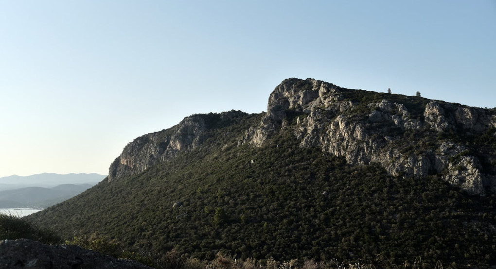 Απαγόρευση κυκλοφορίας και σήμερα σε περιοχές της Χαλκιδικής λόγω υψηλού κινδύνου εκδήλωσης δασικής πυρκαγιάς Απαγόρευση κυκλοφορίας και σήμερα σε περιοχές της Χαλκιδικής λόγω υψηλού κινδύνου εκδήλωσης δασικής πυρκαγιάς