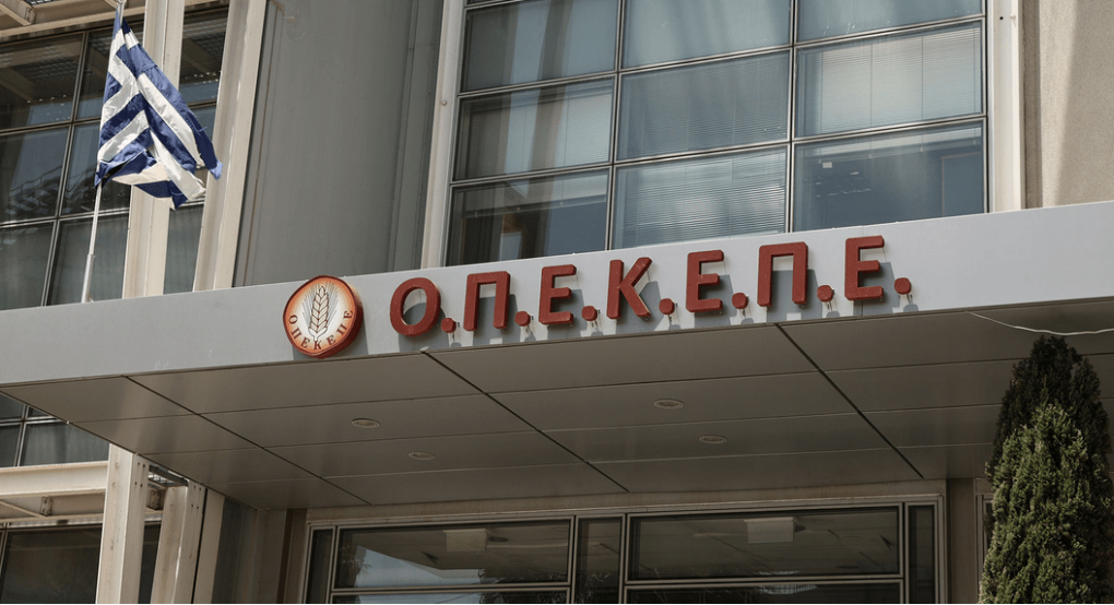 ΟΠΕΚΕΠΕ: Έφοδος της Δίωξης Οικονομικού Εγκλήματος – Παρών ο Ευρωπαίος εισαγγελέας ΟΠΕΚΕΠΕ: Έφοδος της Δίωξης Οικονομικού Εγκλήματος – Παρών ο Ευρωπαίος εισαγγελέας