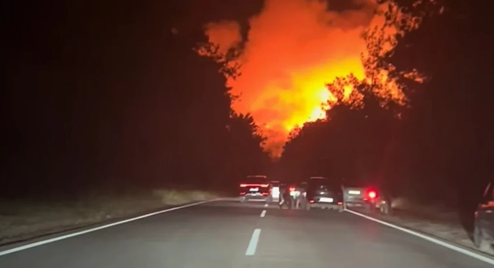Φωτιά στη Θάσο: Απογειώθηκαν τα εναέρια μέσα -Προβλήματα στην ηλεκτροδότηση, κάηκε beach bar, εκκενώθηκε ξενοδοχείο Φωτιά στη Θάσο: Απογειώθηκαν τα εναέρια μέσα -Προβλήματα στην ηλεκτροδότηση, κάηκε beach bar, εκκενώθηκε ξενοδοχείο