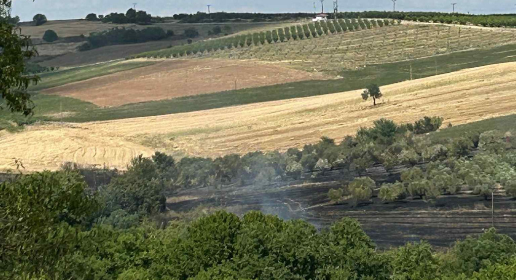 Γιαννιτσά: Φωτιά στον Πενταπλάτανο-Έγκαιρη επέμβαση της Πυροσβεστικής (φώτος) Γιαννιτσά: Φωτιά στον Πενταπλάτανο-Έγκαιρη επέμβαση της Πυροσβεστικής (φώτος)