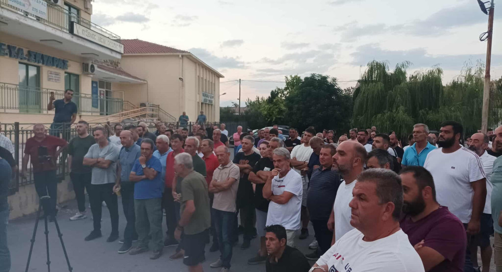 Αγώνας επιβίωσης για τον αγροτικό κόσμο Πέλλας Ημαθίας: Το συμπύρηνο ροδάκινο "απειλείται" και μαζί του το μέλλον χιλιάδων καλλιεργητών Αγώνας επιβίωσης για τον αγροτικό κόσμο Πέλλας Ημαθίας: Το συμπύρηνο ροδάκινο "απειλείται" και μαζί του το μέλλον χιλιάδων καλλιεργητών