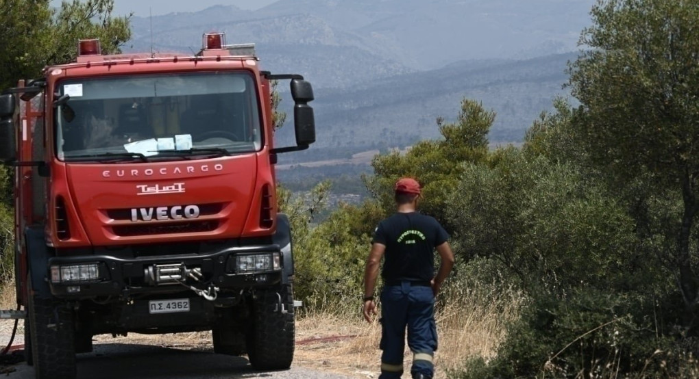 Θεσσαλονίκη: Σε ύφεση η φωτιά σε εργοστάσιο ανακύκλωσης στη ΒΙΠΕ Σίνδου Θεσσαλονίκη: Σε ύφεση η φωτιά σε εργοστάσιο ανακύκλωσης στη ΒΙΠΕ Σίνδου