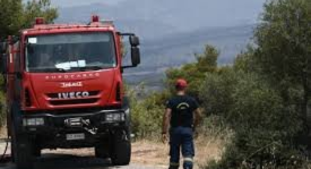 : Προληπτική απαγόρευση κυκλοφορίας στο Δάσος-Πάρκο Έδεσσας του Δήμου Έδεσσας και στο Δάσος Ελευθεροχωρίου Δήμου Πέλλας της ΠΕ Πέλλας, τη Δευτέρα 28/7/2025
