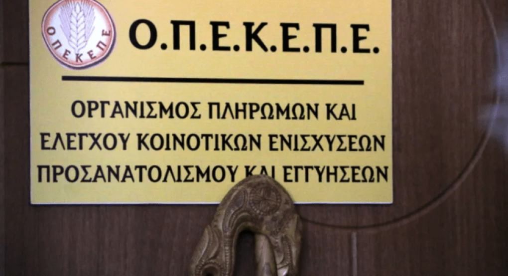ΟΠΕΚΕΠΕ: Αντιπολιτευτικό σφυροκόπημα για την επιστολή που «καίει» Αυγενάκη ΟΠΕΚΕΠΕ: Αντιπολιτευτικό σφυροκόπημα για την επιστολή που «καίει» Αυγενάκη