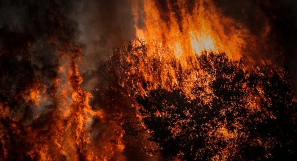 Πυρκαγιά σε δασική έκταση στην περιοχή Κουλάς Σερρών