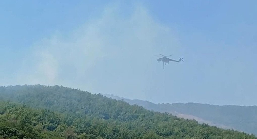 Επιτυχής κατάσβεση πυρκαγιάς στη Νέα Ζωή Πέλλας – Καθοριστική η συμβολή των πυροσβεστών και του ελικοπτέρου Επιτυχής κατάσβεση πυρκαγιάς στη Νέα Ζωή Πέλλας – Καθοριστική η συμβολή των πυροσβεστών και του ελικοπτέρου