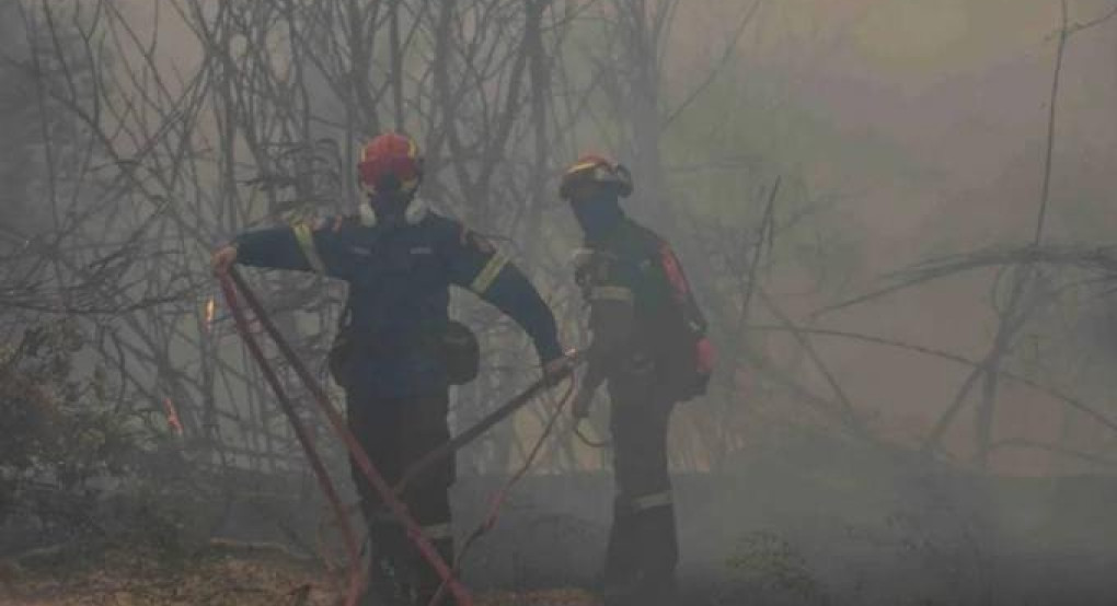 Φωτιά στην Πάτρα: Σε ύφεση η αναζωπύρωση στην περιοχή του Μπάλα