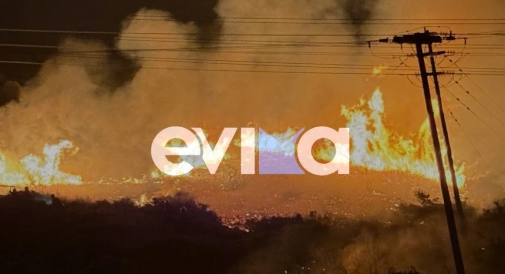 Φωτιά σε δασική έκταση στα Μεσοχώρια Εύβοιας - Δείτε φωτογραφίες Φωτιά σε δασική έκταση στα Μεσοχώρια Εύβοιας - Δείτε φωτογραφίες