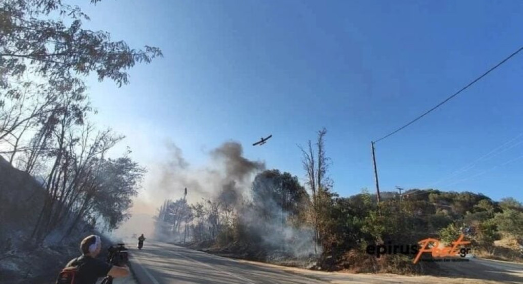 Φωτιά τώρα στην Εύβοια Φωτιά τώρα στην Εύβοια